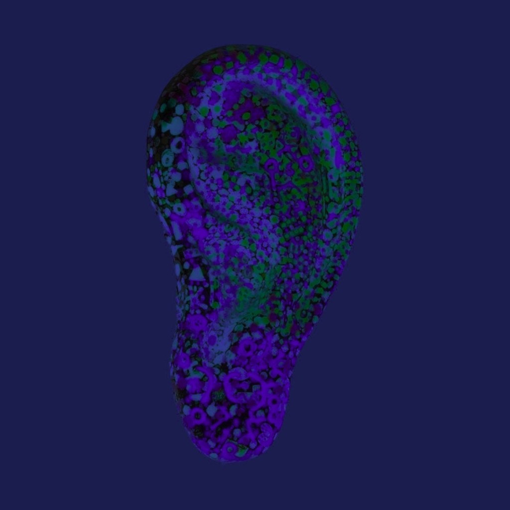 Exploring Maryanne Amacher’s Sound Art